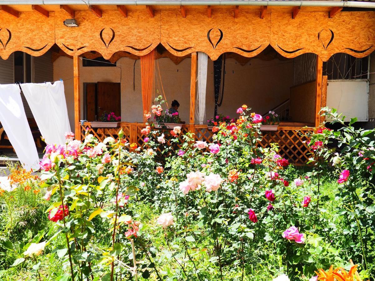 Baktygul Guesthouse Naryn Ngoại thất bức ảnh